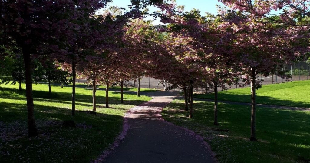 Park