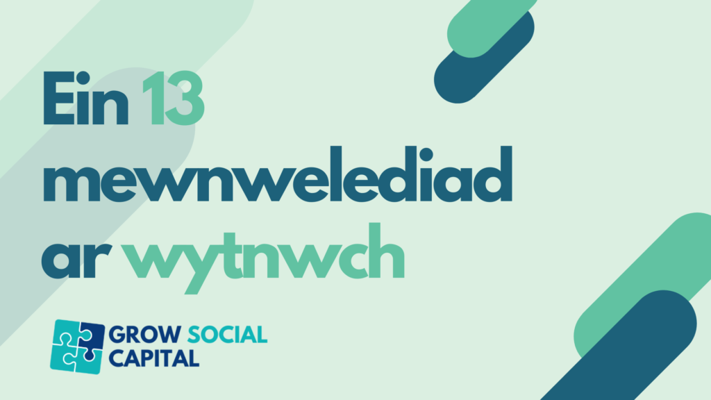 Safbwyntiau y Sector Gwirfoddol yng Nghymru ar wytnwch