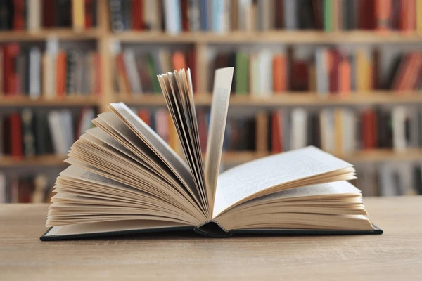 Libraries as social infrastructure